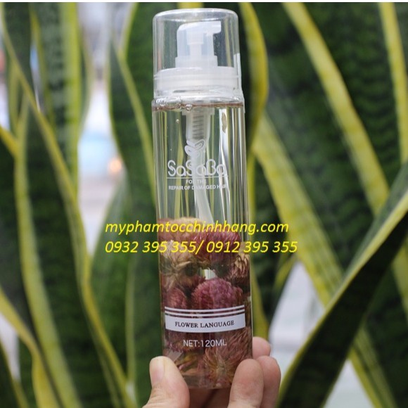 TINH CHẤT HOA NGÔN SASABA 120ML