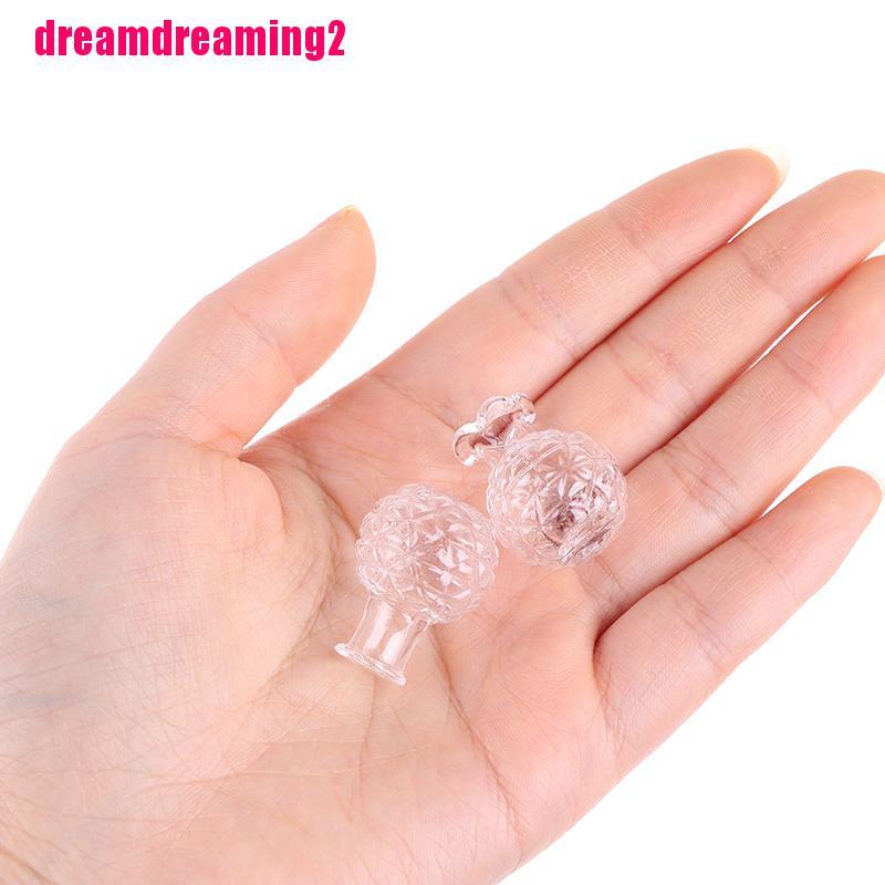 Bộ 2 Bình Hoa Thủy Tinh Trang Trí Nhà Búp Bê Xinh Xắn