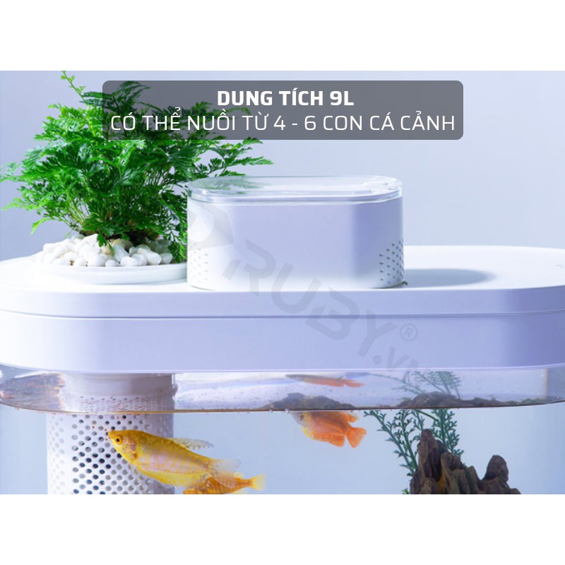 Bể Cá Thủy Sinh Thông Minh XIAOMI TANK PRO, Hồ Nuôi Cá Tích Hợp Trồng Cây Tiện Lợi