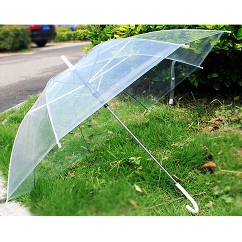 ô đi mưa trong suốt gấp gọn phong cách Hàn Quốc [thích hợp để chụp hình lãng mạn dưới trời mưa PK Tkutrang