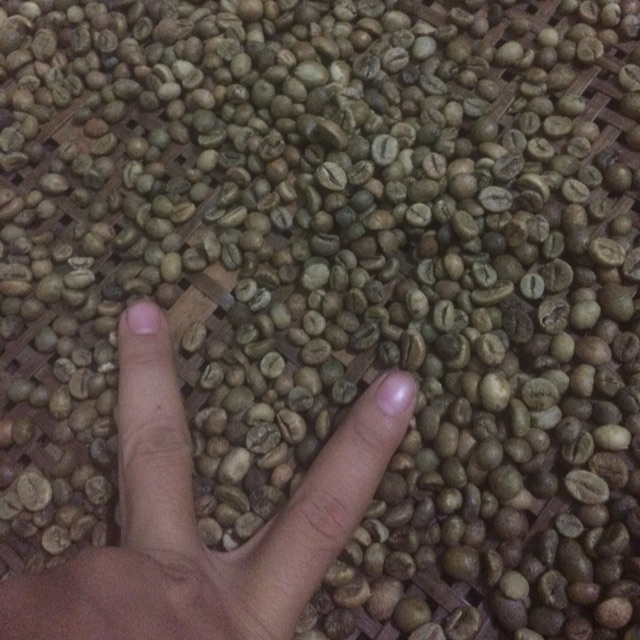 [FREESHIP 99K TOÀN QUỐC]Cà phê nhân robusta 1 kg ( chưa rang)