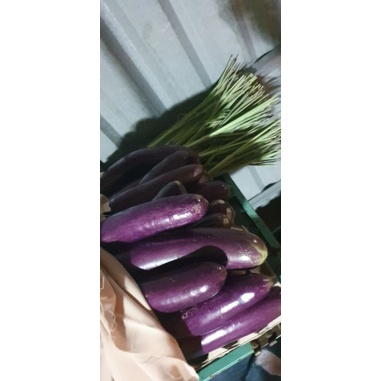 1kg cà tím