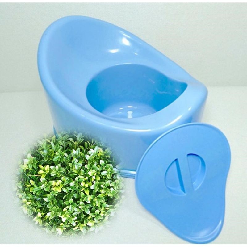 Bô vệ sinh loại đẹp cho bé