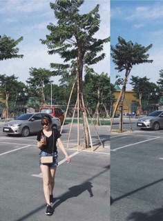 Áo phông basic cổ tim chính hãng