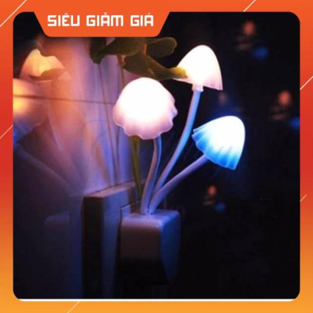 Đèn ngủ Led cảm biến ánh sáng hình Nấm
