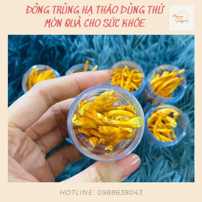 Đông trùng hạ thảo - mẫu dùng thử 7 ngày - hũ 1gr - đông trùng hạ thảo khô sấy thăng hoa cao cấp