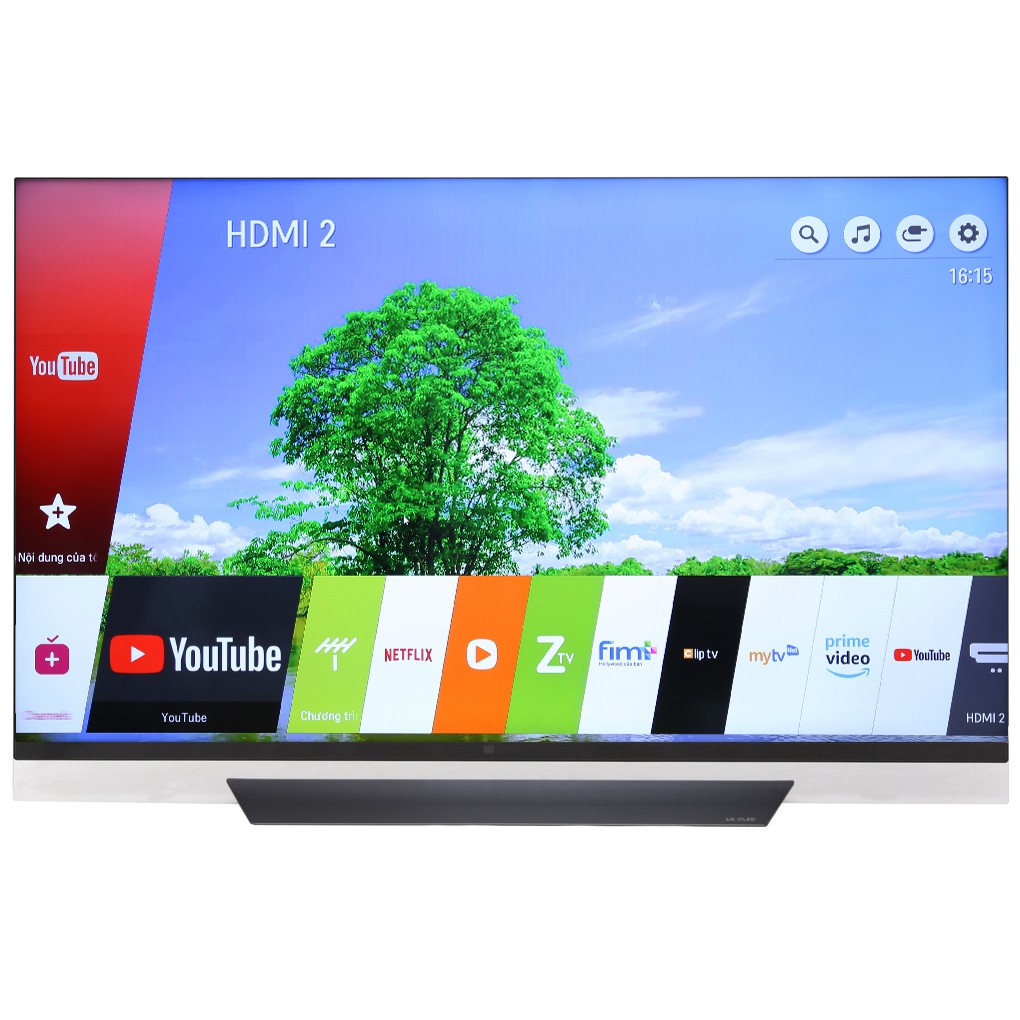 ( Khu vực HCM) Smart Tivi OLED LG 4K 55 inch 55E8PTA