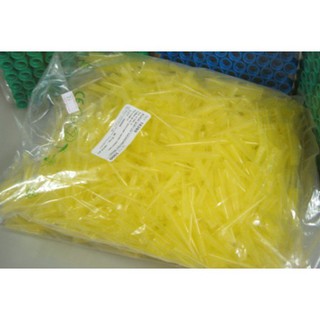 đầu col vàng 1000c
