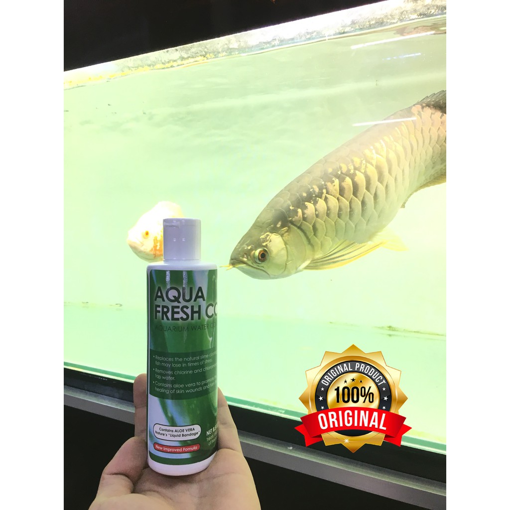 [hàng nhập khẩu-𝑭𝑹𝑬𝑬𝑺𝑯𝑰𝑷]✅AQUA FRESH COAT ✅tinh chất Nha Đam giảm stress,khử nước hồ cá cảnh 250ml