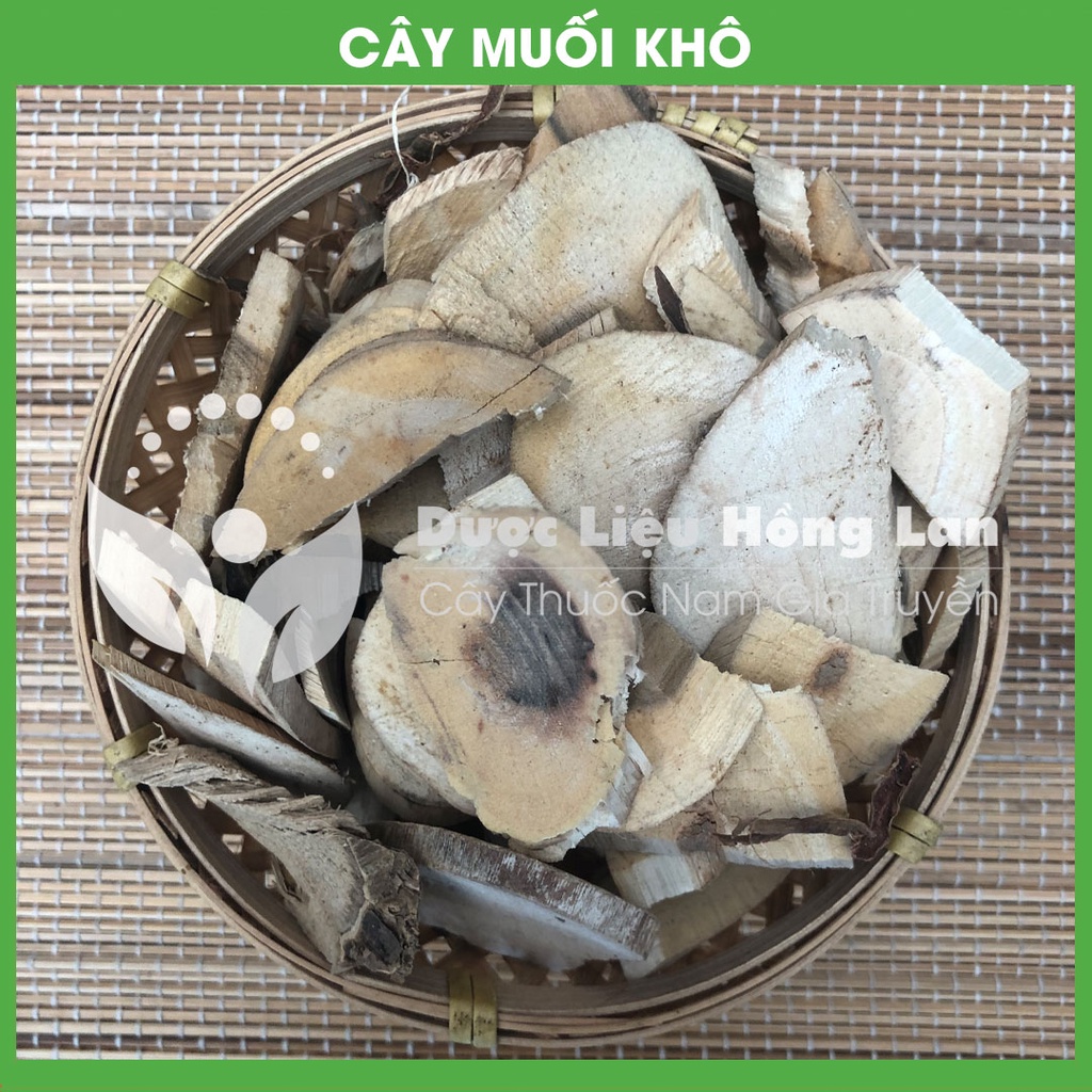 CÂY MUỐI khô sạch đóng gói 1kg - congtyduoclieuhonglan