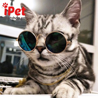 Kính Mát Kính Râm Cho Thú Cưng Chó Mèo - iPet Shop