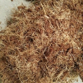 1kg xơ dừa trồng lan, rau , củ , quả