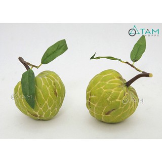 Mô hình quả mãng cầu na giả trang trí số 09 TTTM