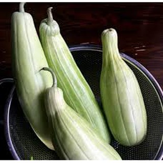 Hạt giống dưa gang (1g)