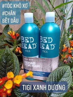 Dầu gội Tigi authentic ( đỏ - xanh - tím)