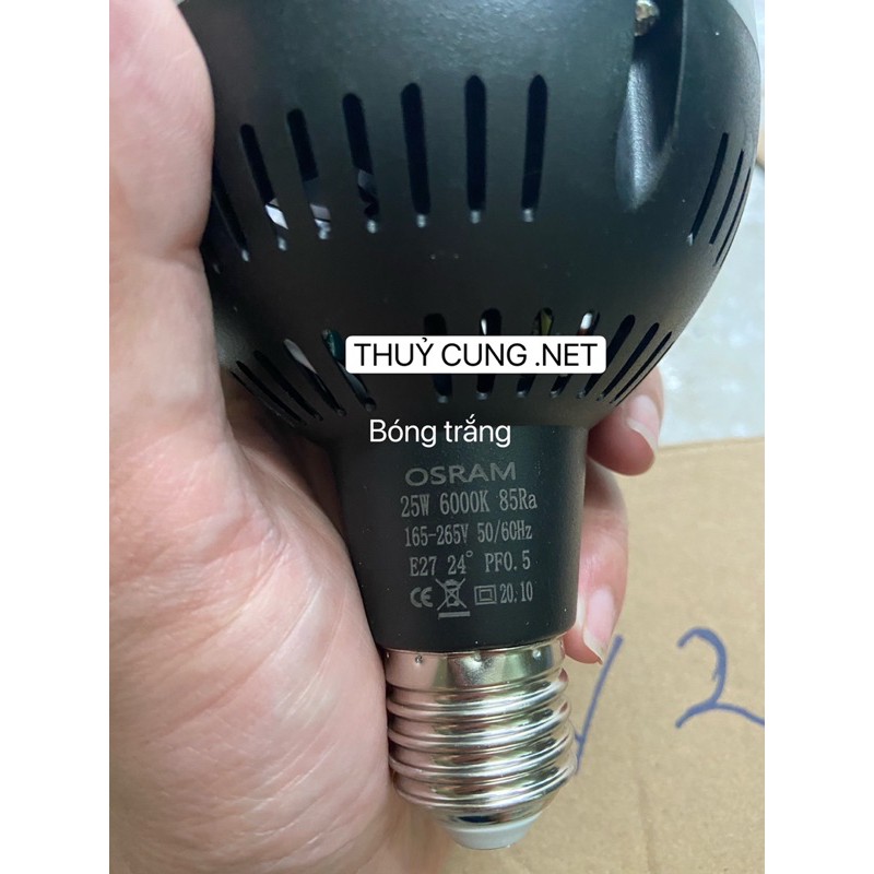 Đèn Bán Cạn OSRAM  25w 35w 45w