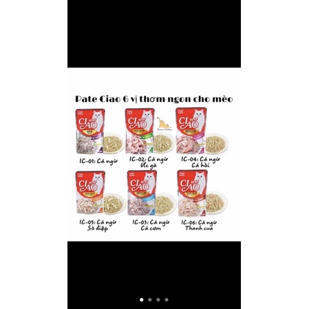 combo 20 gói pate ciao 60g trộn vị