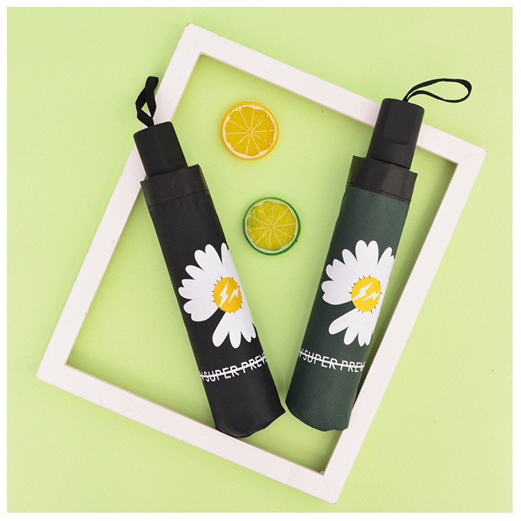 Ô Dù Hoa Cúc Chống Tia UV - Dù Cúc Họa Mi GD 5 Màu