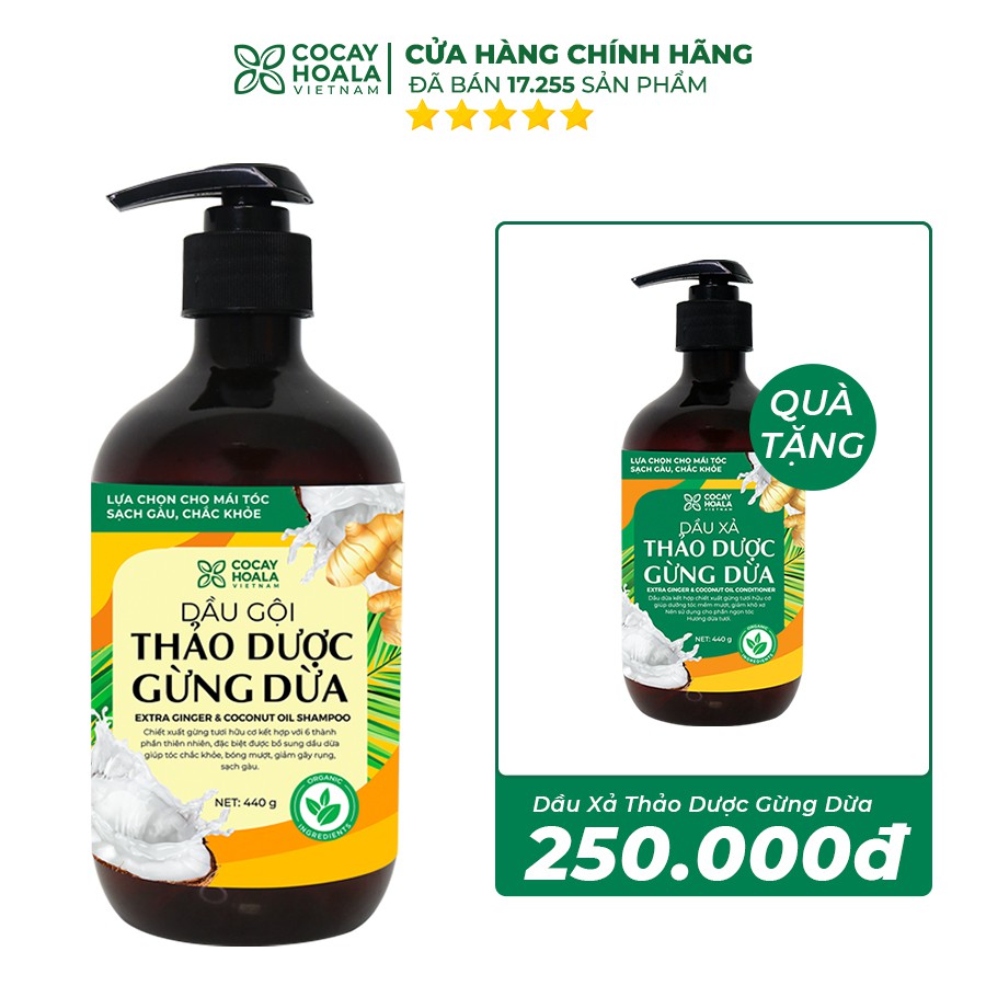 [ Mua 1 tặng 1] Dầu gội sạch gàu thảo dược gừng dừa hữu cơ Cocayhoala - giảm ngứa dung tích 440g/chai