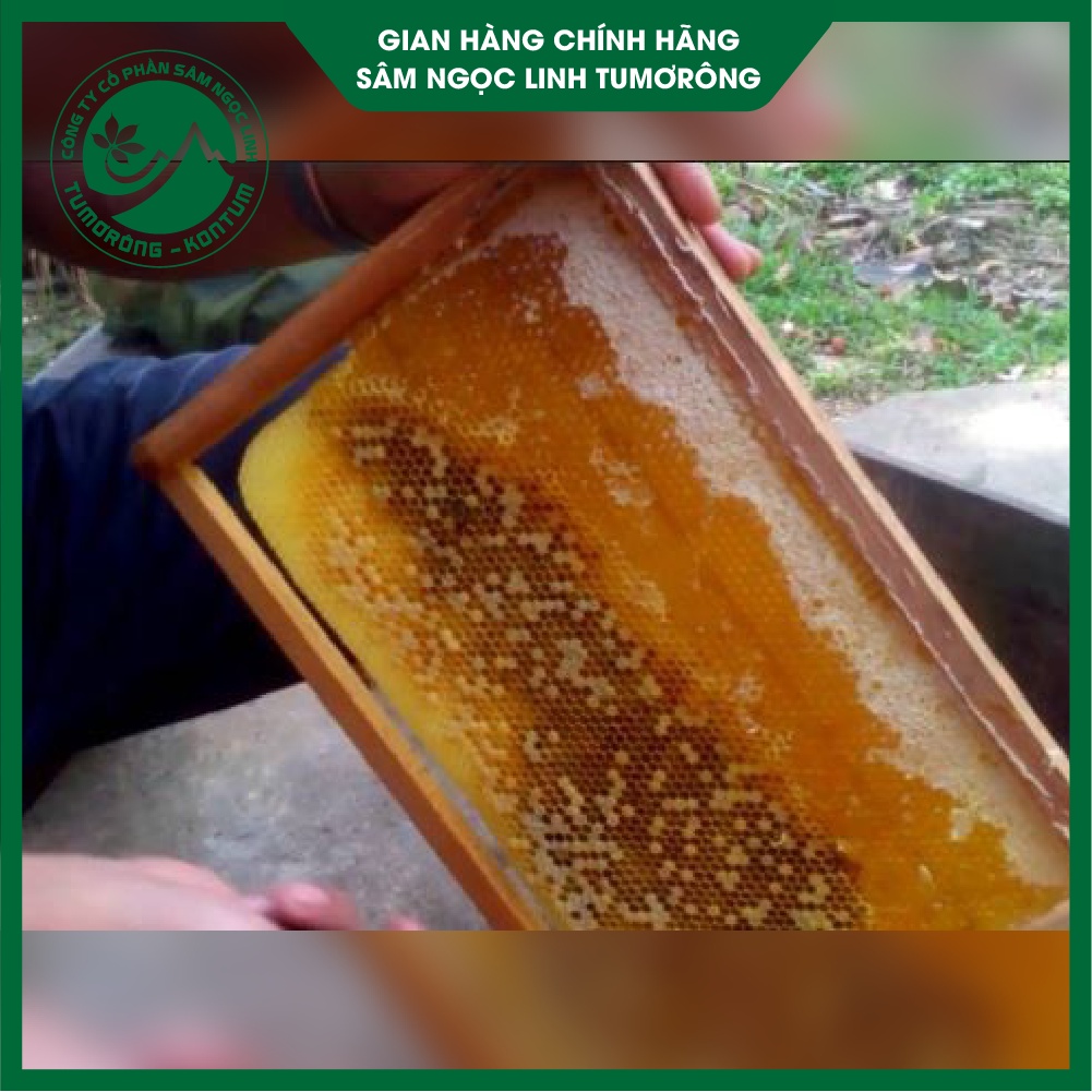 Mật Ong Hoa Cà Phê - Mật Ong Nguyên Chất 100% - Mật Ong Tự Nhiên Tumorong