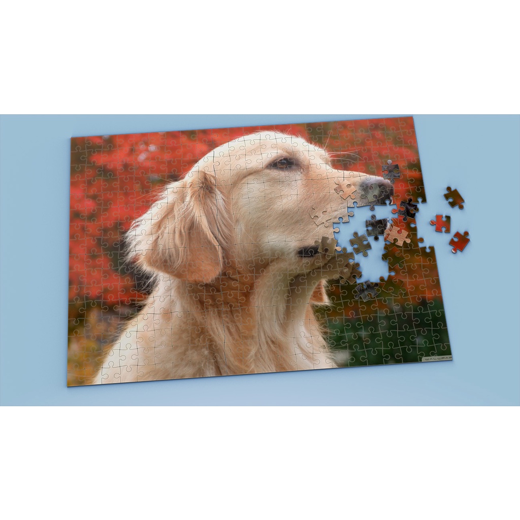 Tranh ghép hình GOLDEN RETRIEVER - Mẫu 7 - Nhận in theo yêu cầu