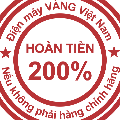 dienmayvangvietnam.com