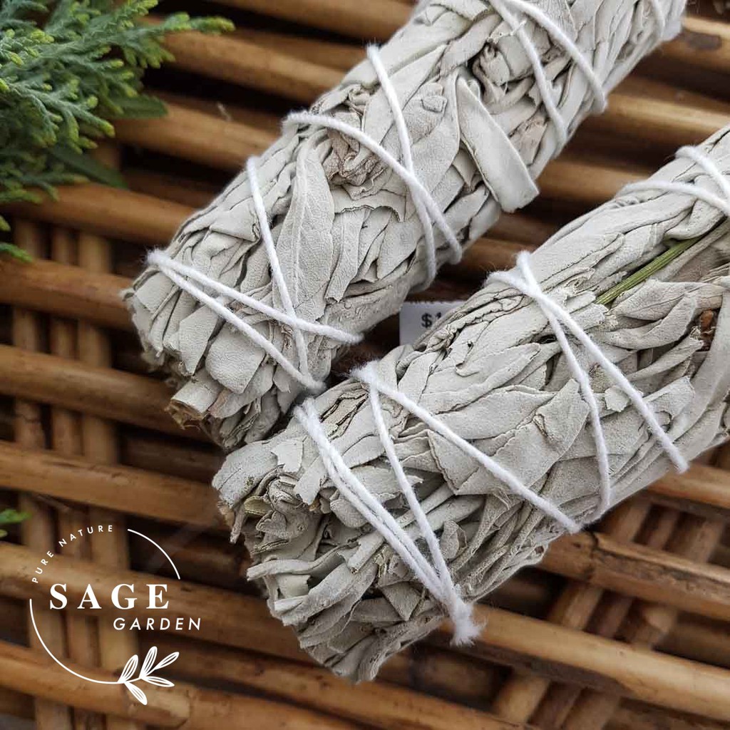 XÔ THƠM TRẮNG (White Sage)_Size S-M-L_SAGE GARDEN