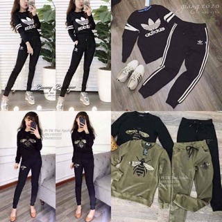 Bộ cotton da cá đủ sz sml