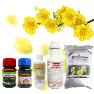 COMBO CHĂM SÓC MAI SAU TẾT VÀ PHỤC HỒI MAI SAU TẾT