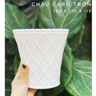 CHẬU NHỰA SEN ĐÁ