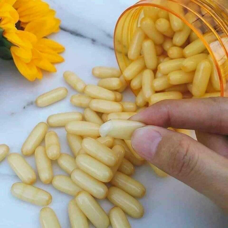 SỮA ONG CHÚA ÚC- HỘP 365 VIÊN- HÀNG CHÍNH HÃNG 100%