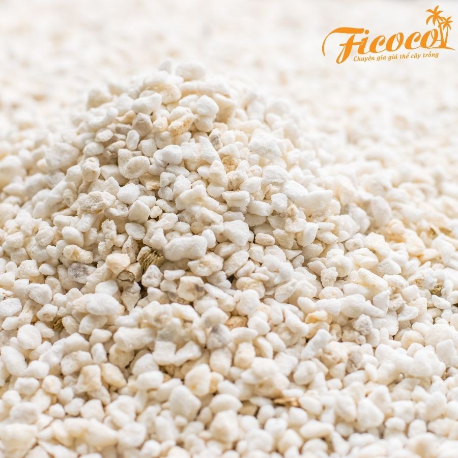 Đá Perlite - Đá trân châu trồng cây FICOCO - Size nhỏ - Cực phẩm cho sen đá và xương rồng