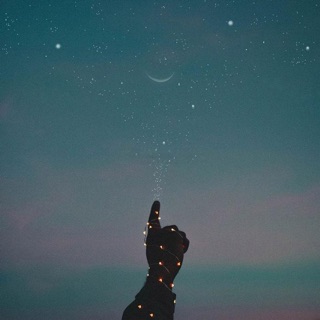 Yangchao digital accessories