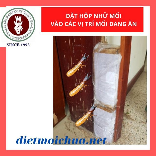  [Chính Hãng] Bộ Thuốc Diệt Mối Tận Gốc Sinh Học: 02 Hộp Nhử Mối + 01 Lọ PMC90 DP