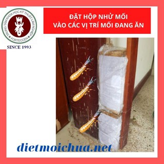 [Chính Hãng] Bộ Thuốc Diệt Mối Tận Gốc Sinh Học: 02 Hộp Nhử Mối + 01 Lọ PMC90 DP