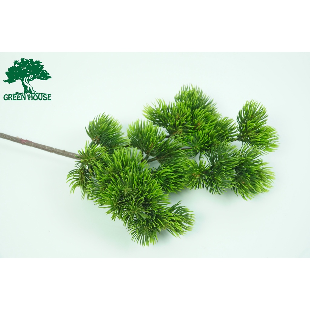 Cành nhựa -Lũa Bonsai, Lũa thủy sinh dùng trang trí hồ cá cảnh, hồ thủy sinh, văn phòng, nhà cửa- NHÀ XANH