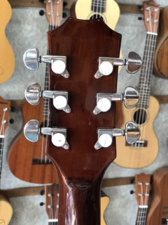 Đàn Guitar Acoustic HD120