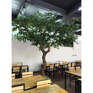 Cành si xanh - lá giả làm cây trang trí cửa hàng