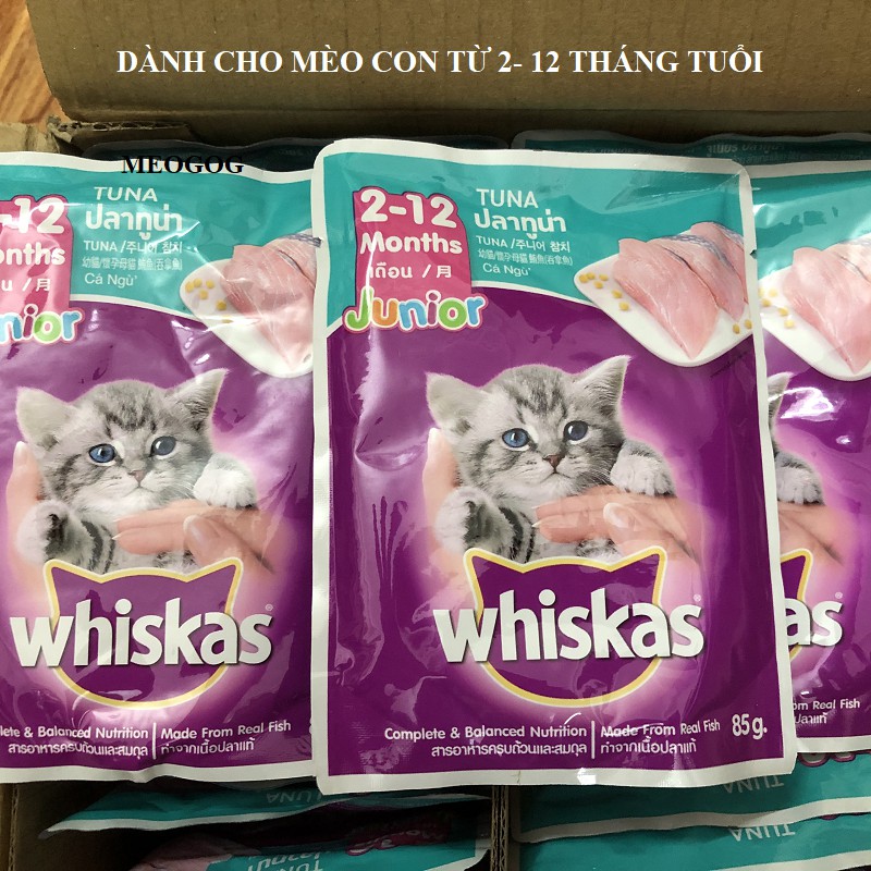 Pate Whiskas Junior Thức Ăn Dinh Dưỡng Cho Mèo Con | Gói 85g MEOGOG