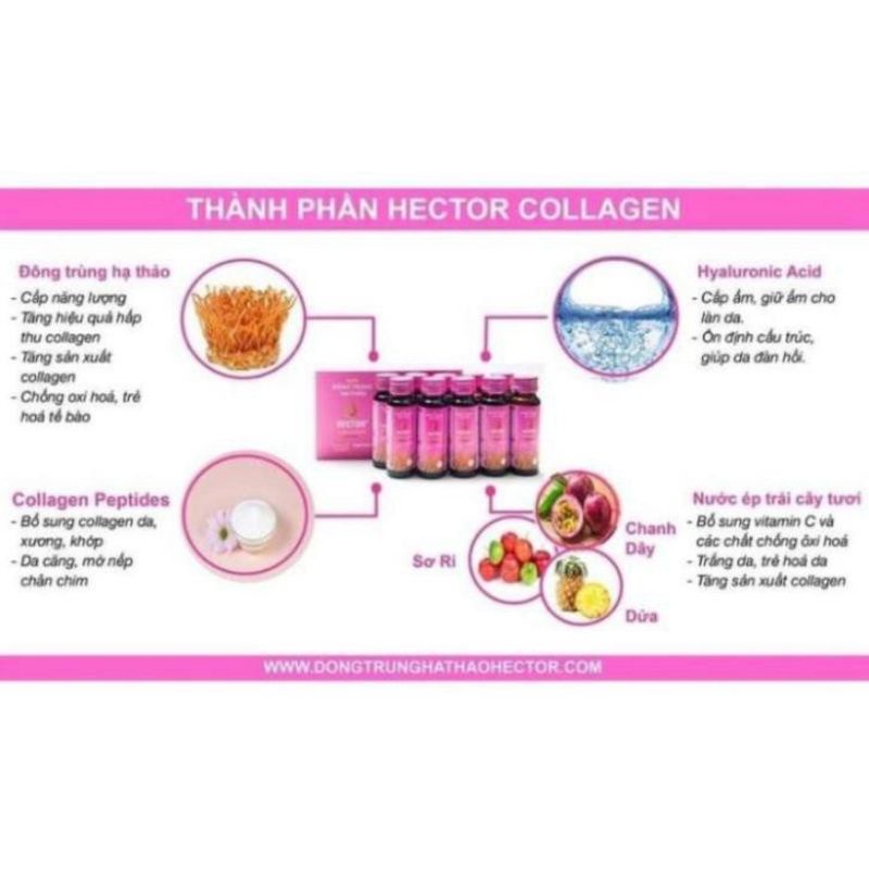 HECTOR COLLAGEN hộp 10 chai