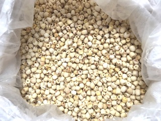 HẠT SEN BẮC 1KG