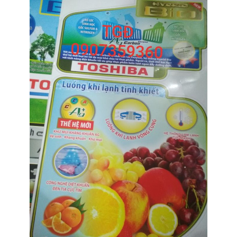 Team dán tủ lạnh toshiba