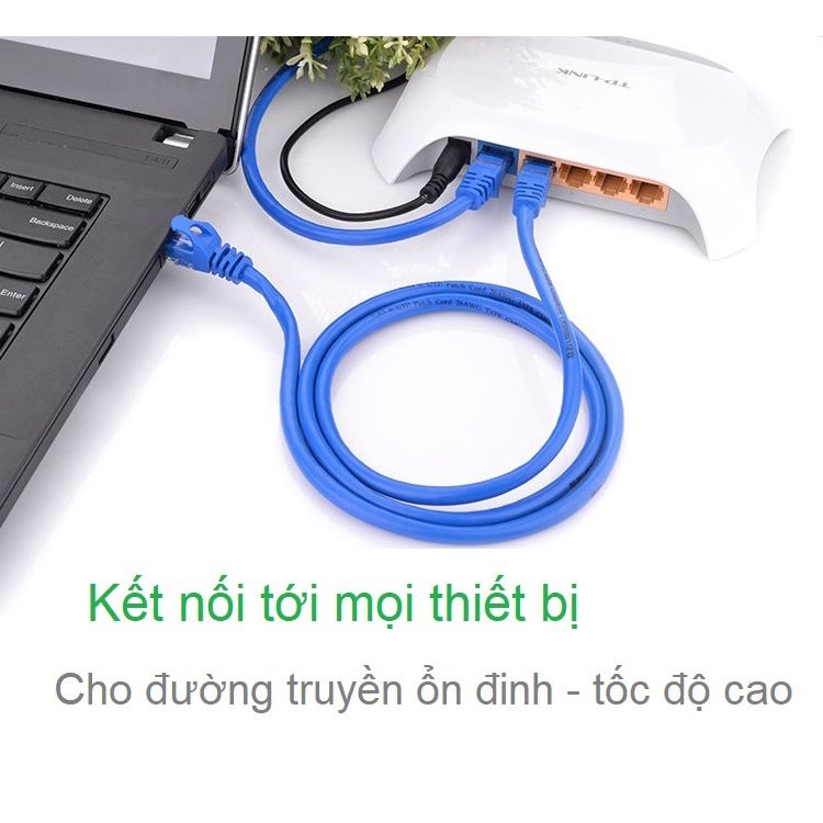 Dây Mạng bấm sẵn 2 đầu CAT 6E 10m 15m 20m 25m 30m 40m 50m - dây chính hãng LBLINK có màu xanh - trắng