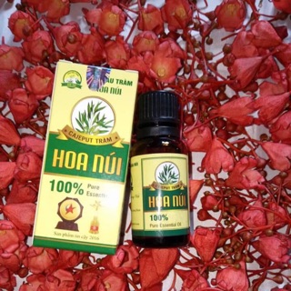 Tinh dầu tràm Hoa núi + vòng tay dâu tằm