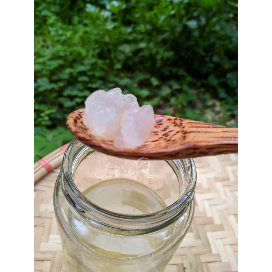 Nấm nước kefir (Water kefir, TIBICOS)