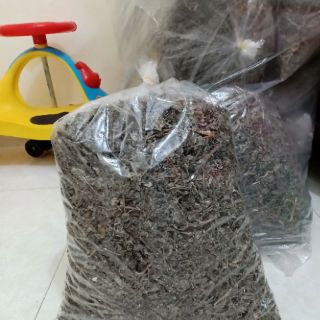 CHÈ DÂY - Sìn Hồ - Lai Châu  (1kg)
