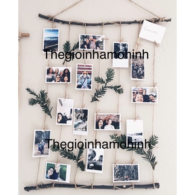 Cành gỗ treo ảnh decor trang trí không gian