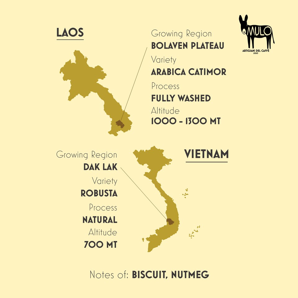 Cà phê Gu Mạnh TENACE nguyên chất , MULO Coffee - Hương vị đậm đà, mạnh mẽ