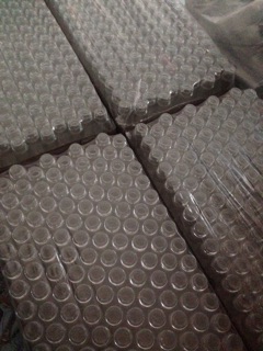 100 Lọ bi lăn 10ml