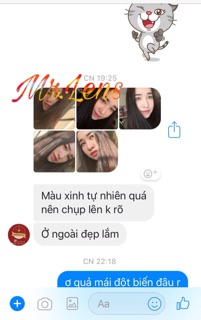 Sc  gray áp tròng